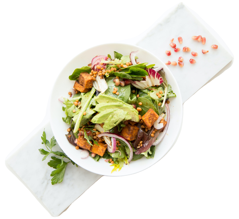 Fresh Salad Bowl